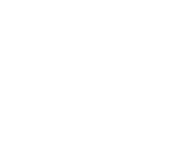 chat icon